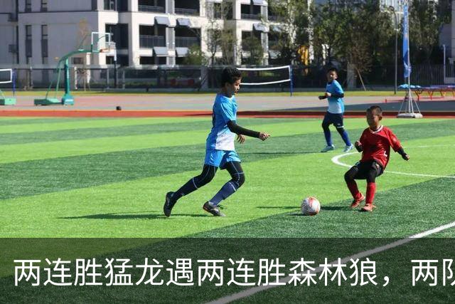 两连胜猛龙遇两连胜森林狼，两队都想保住不败金身