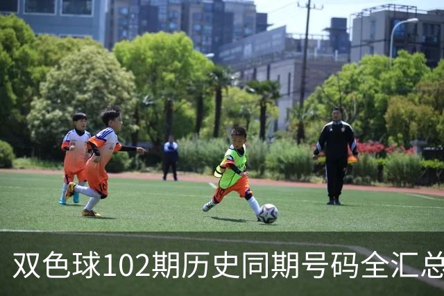 双色球102期历史同期号码全汇总