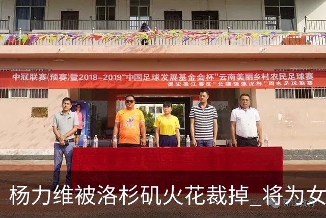 杨力维被洛杉矶火花裁掉 将为女篮争奥运门票