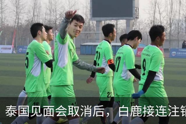 泰国见面会取消后，白鹿接连注销名下三家公司，网友：果然有猫腻