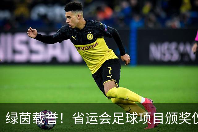 绿茵载誉！省运会足球项目颁奖仪式在延吉举行