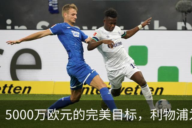 5000万欧元的完美目标，利物浦为何被曝缺席争夺